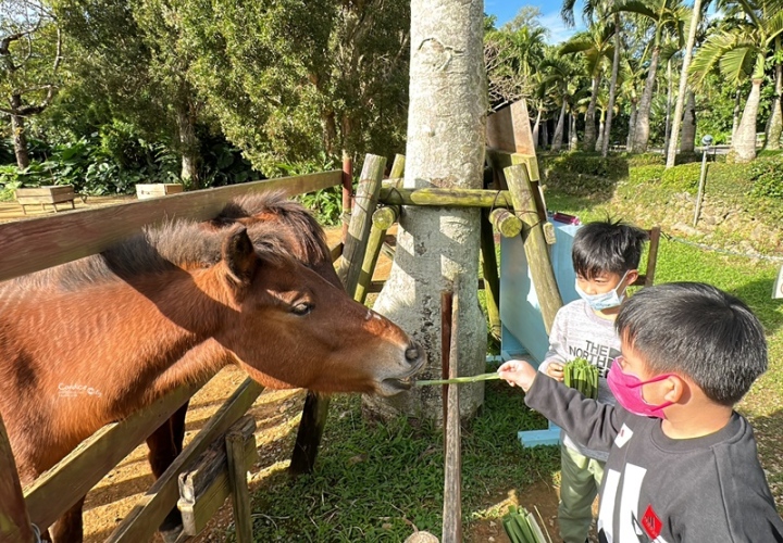 沖繩親子4日遊，看動物、必吃燒肉、購物通通有！