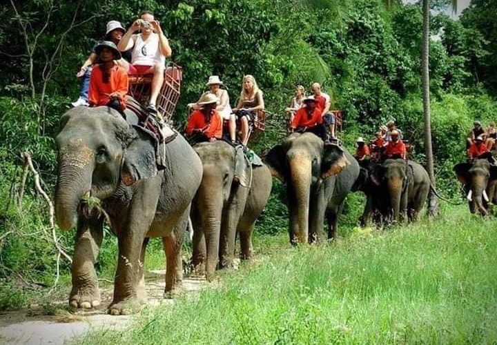 Chang Siam Krating Lai_30-minute jungle adventure with elephants